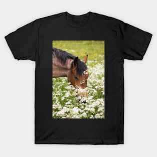 Summer Grazing T-Shirt